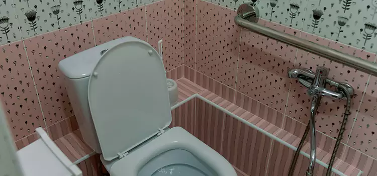 Meeting Diverse Needs With Accessible Restroom Solutions in Lake Ridge, VA